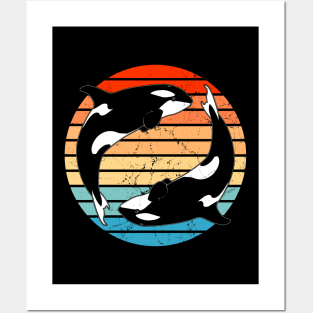 Cute Orca Killer Whales Posters and Art